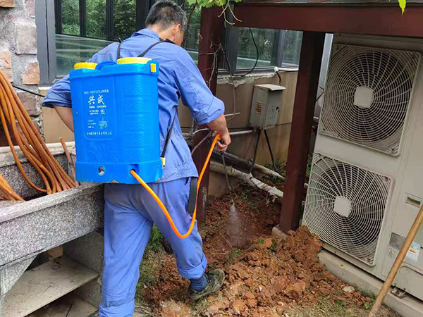 房屋建筑白蟻防治